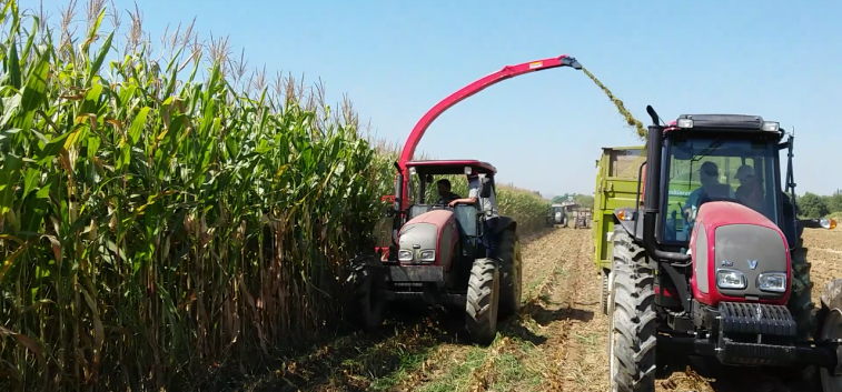 AGCO-RM проведет День поля 2020 брендов Fendt® и Valtra® в Свердловской области