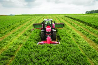 Новое оборудование Massey Ferguson® для кормозаготовки выходит на российский рынок 