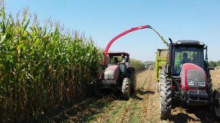 AGCO-RM проведет День поля 2020 брендов Fendt® и Valtra® в Свердловской области