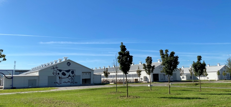 Органическая ферма М2 выбирает тракторы Valtra®